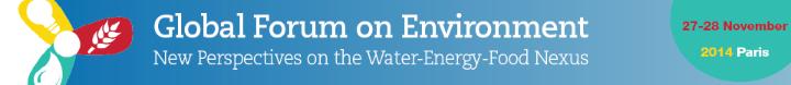 Banner - Global Forum on Environment- New Perspectives on the Water-Energy-Food Nexus-banner